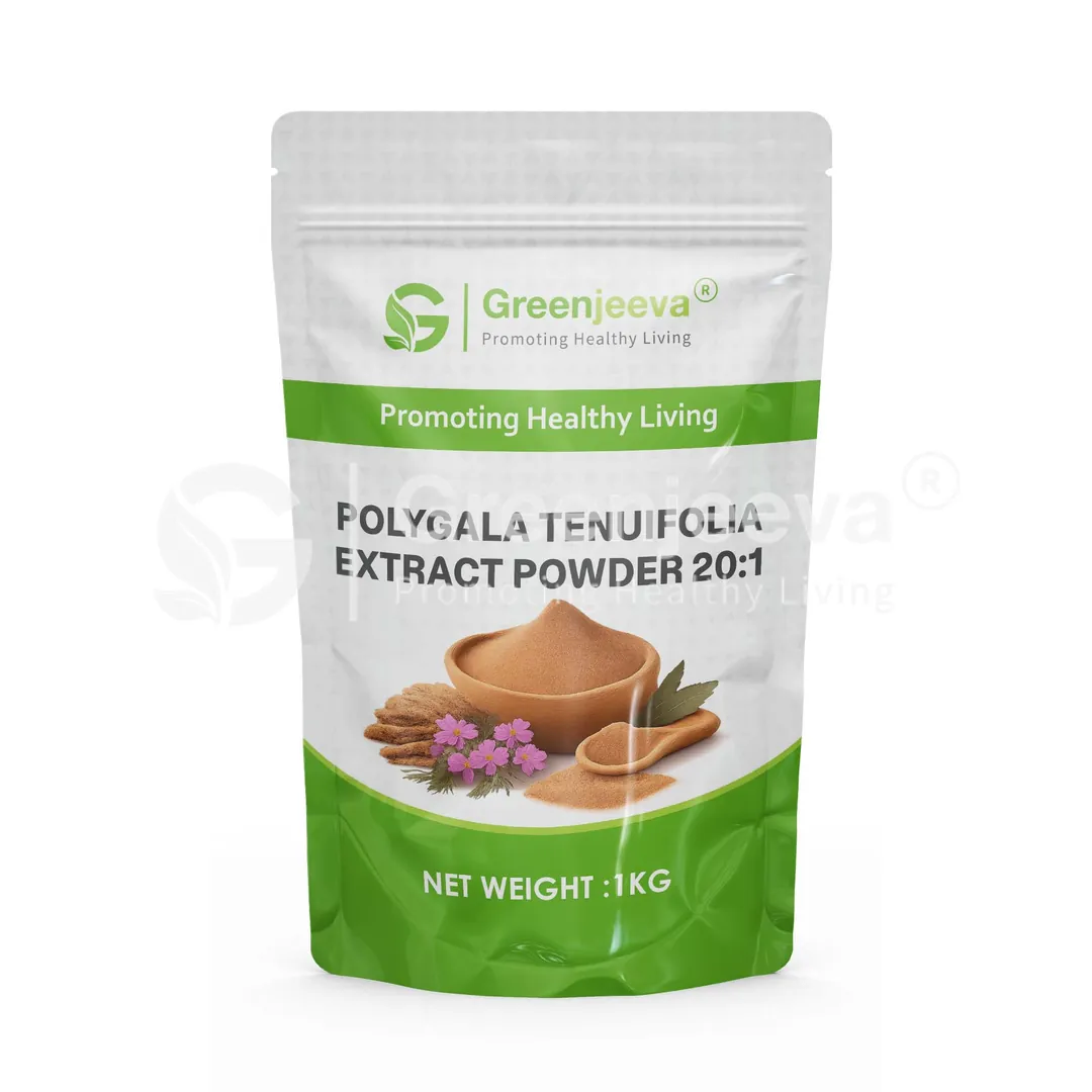 Polygala Tenuifolia Extract Powder 20 1 Pouch Polygala Tenuifolia Extract Powder 20 1 Pouch